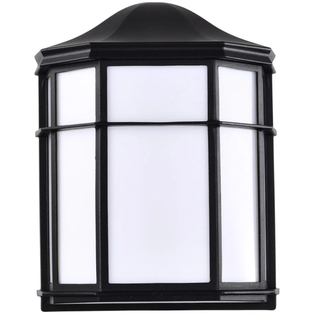 10 In. LED Outdoor Wall Lantern Black finish