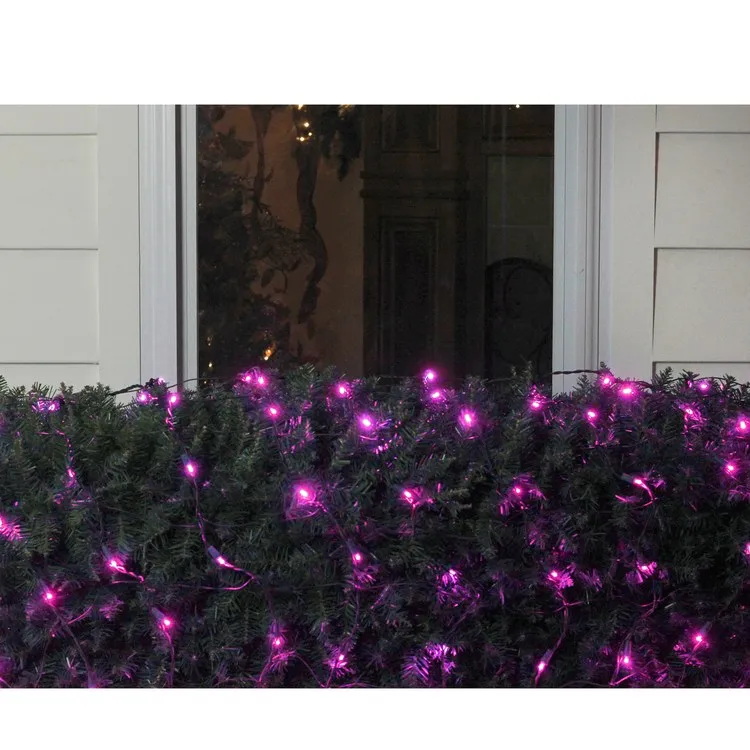 4' x 6' Raspberry Pink LED Wide-Angle Net-Style Christmas Lights with Green Wire