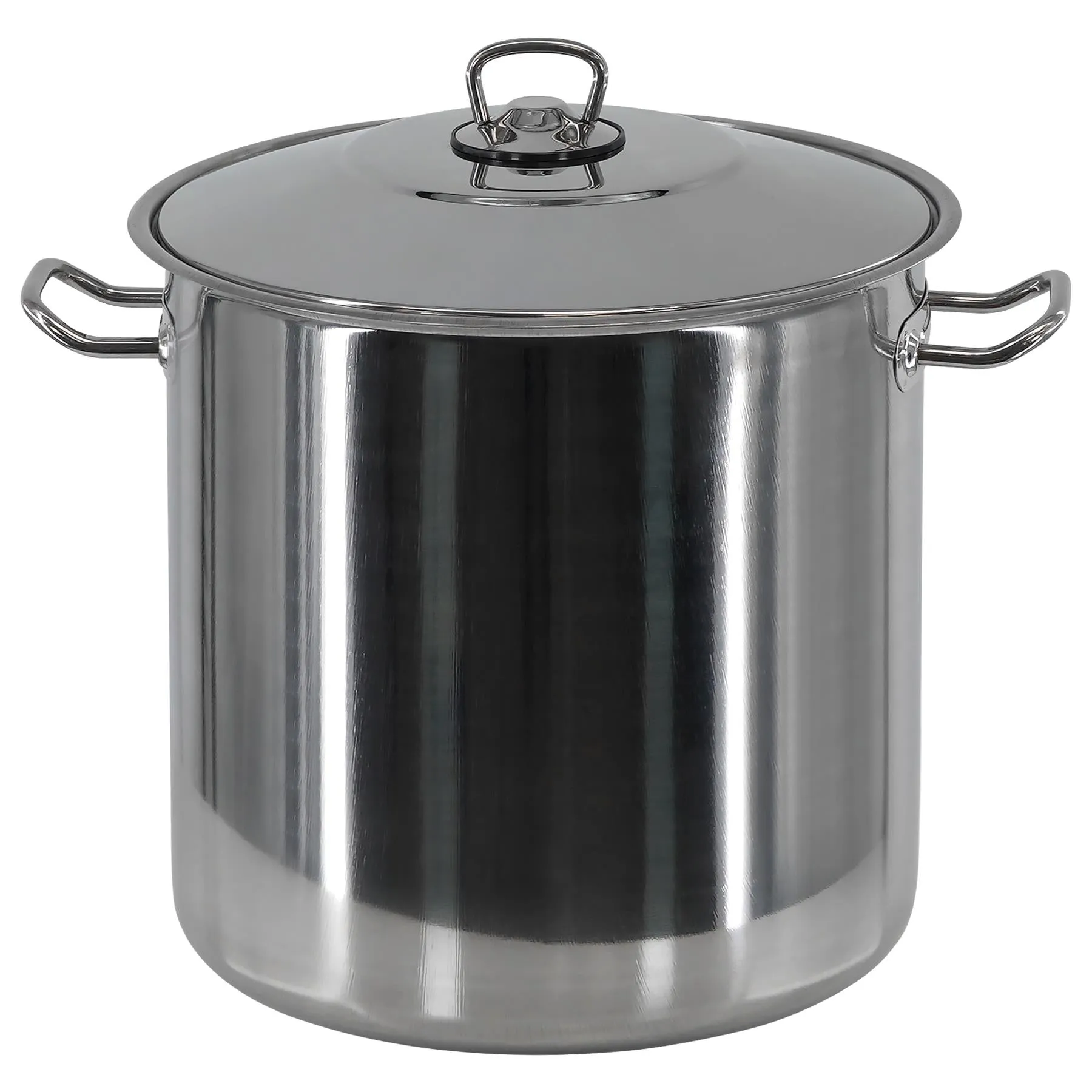 Arian Gastro Stock Pot - 17 Litre