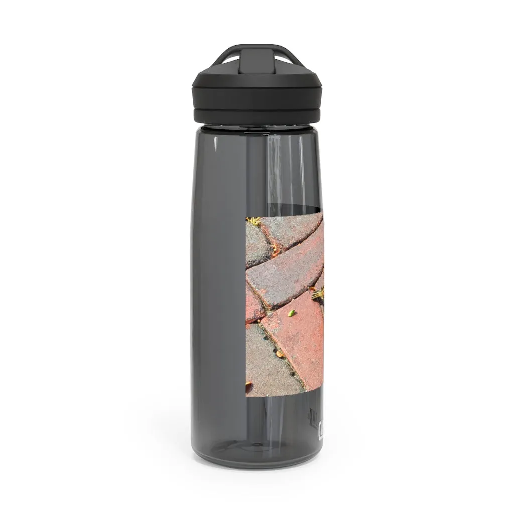 Bird CamelBak Eddy®  Water Bottle, 20oz / 25oz