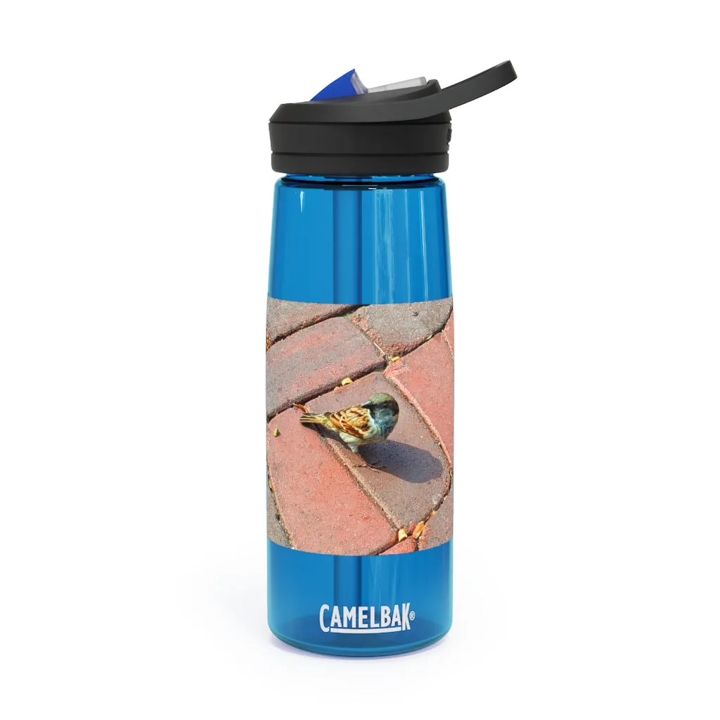 Bird CamelBak Eddy®  Water Bottle, 20oz / 25oz