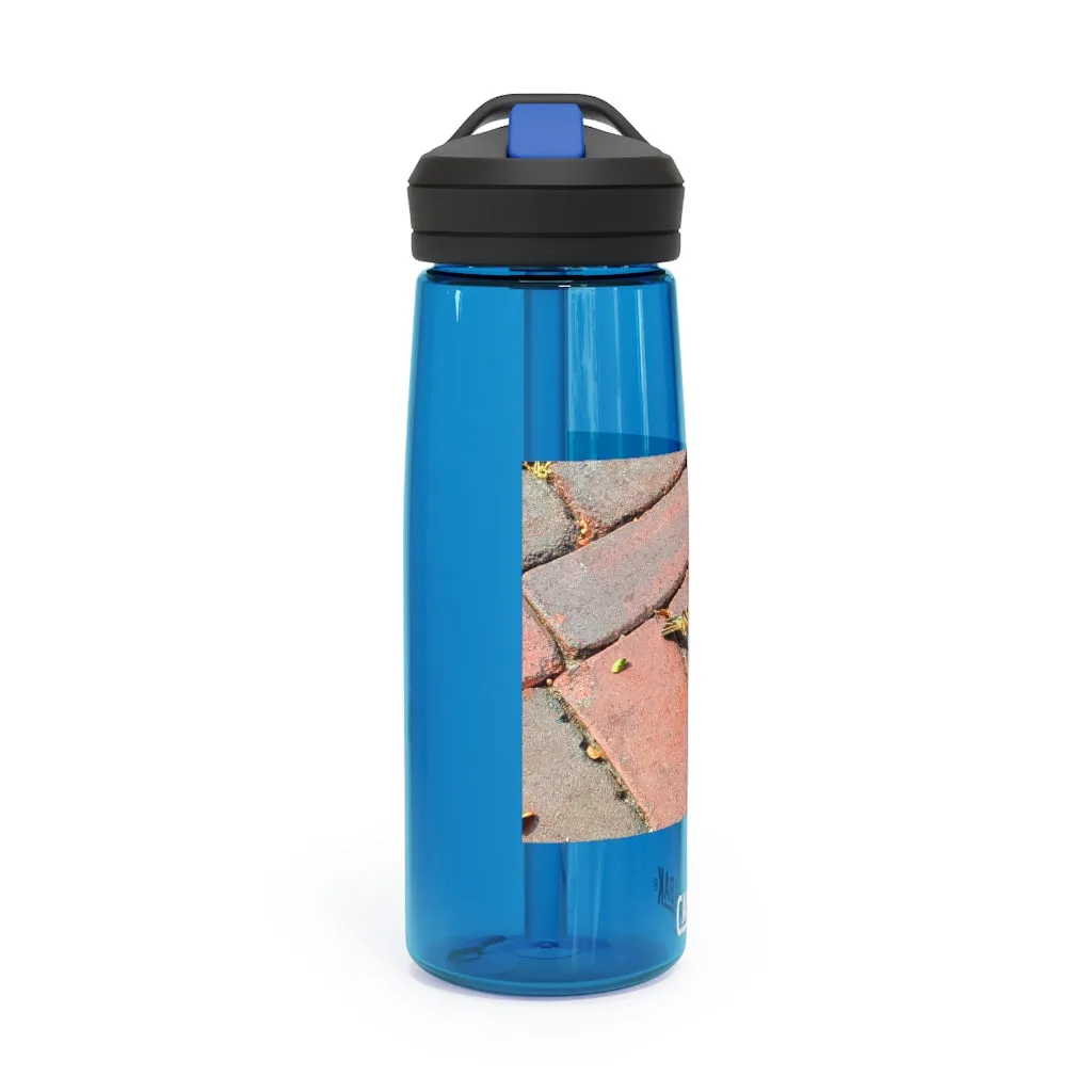 Bird CamelBak Eddy®  Water Bottle, 20oz / 25oz