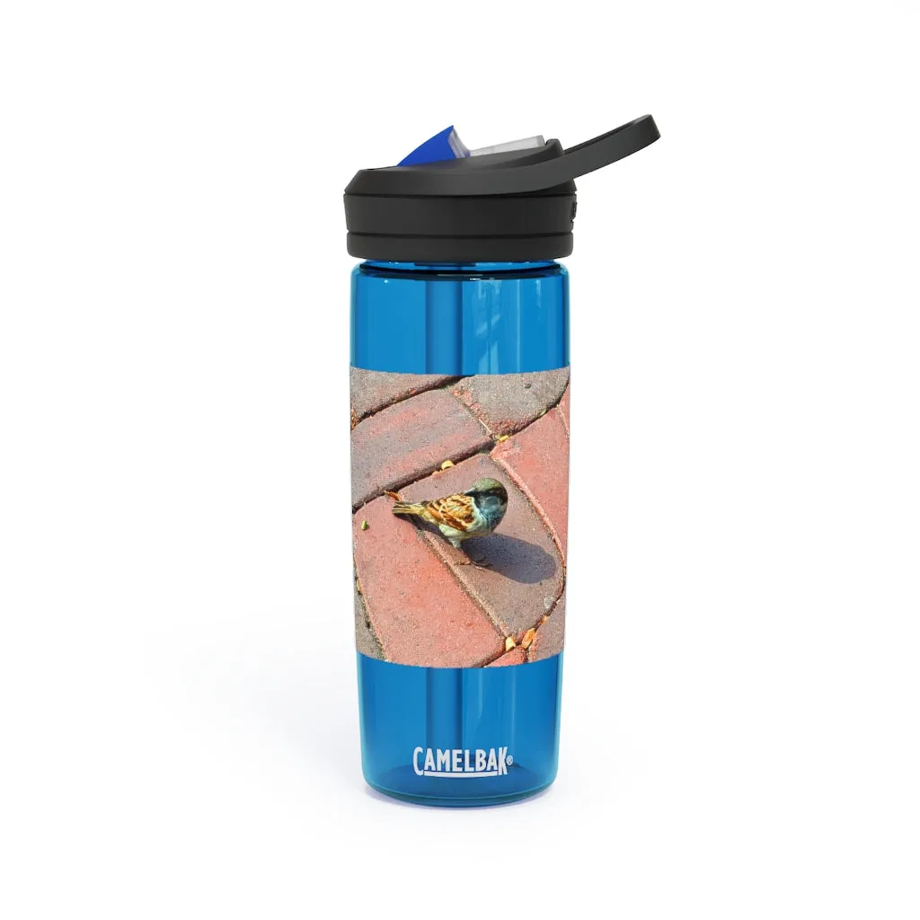 Bird CamelBak Eddy®  Water Bottle, 20oz / 25oz