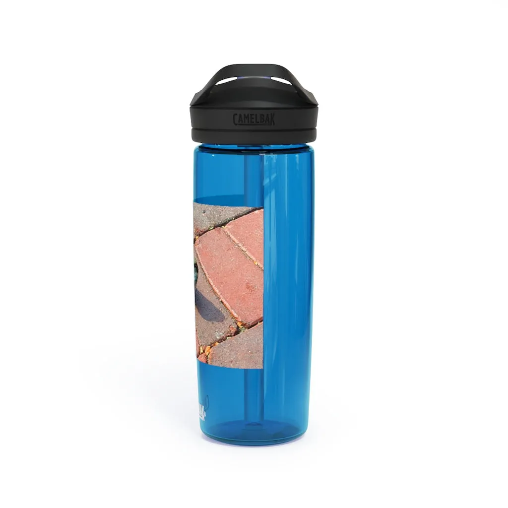 Bird CamelBak Eddy®  Water Bottle, 20oz / 25oz