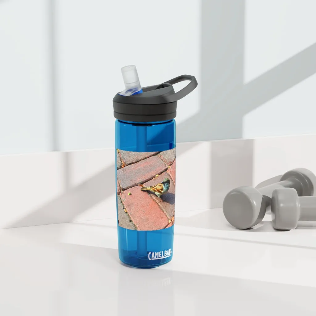 Bird CamelBak Eddy®  Water Bottle, 20oz / 25oz