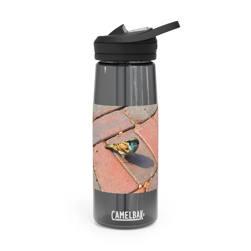 Bird CamelBak Eddy®  Water Bottle, 20oz / 25oz