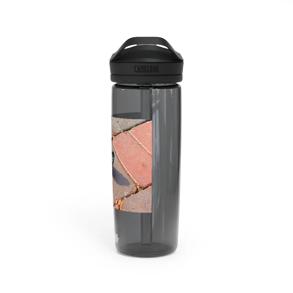 Bird CamelBak Eddy®  Water Bottle, 20oz / 25oz