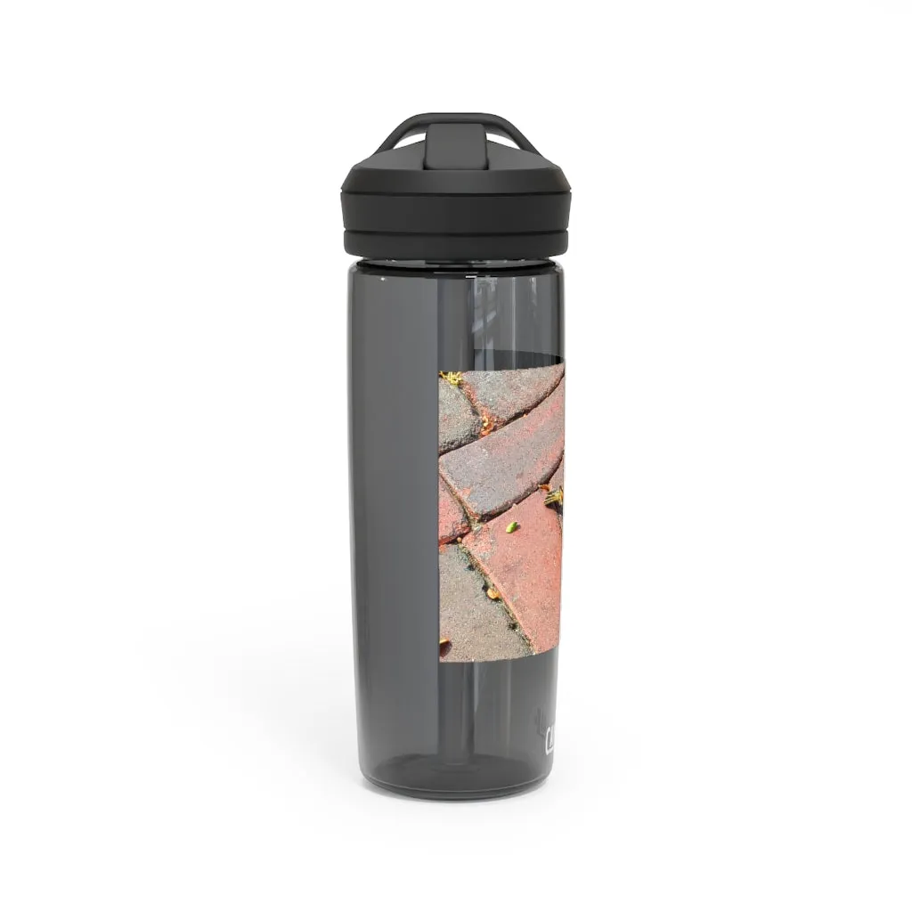 Bird CamelBak Eddy®  Water Bottle, 20oz / 25oz