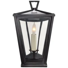 Darlana 1-Light Wall Lantern