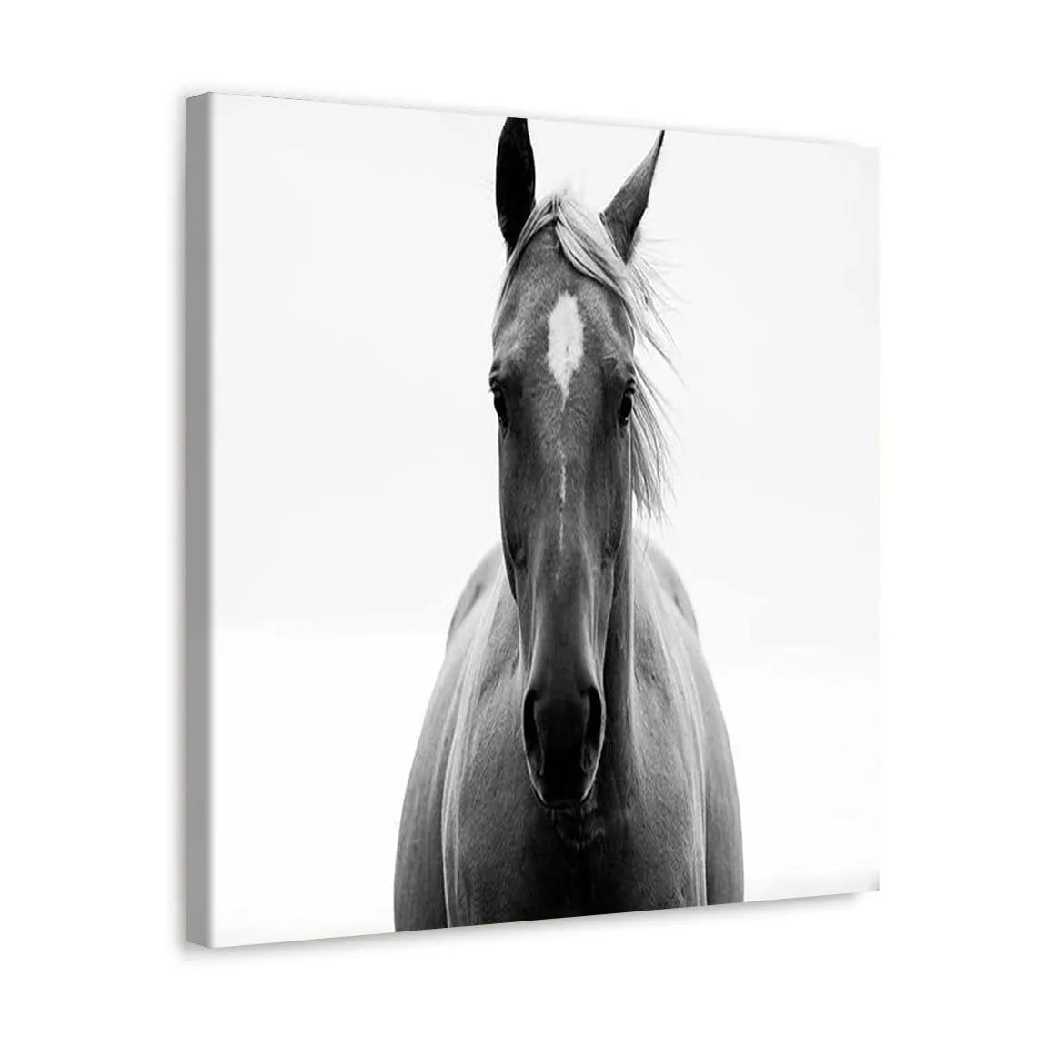 GADGETS WRAP Canvas Gallery Wrap Framed for Home Office Studio Living Room Decoration (10x10inch) - The Stare