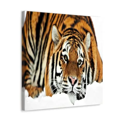 GADGETS WRAP Canvas Gallery Wrap Framed for Home Office Studio Living Room Decoration (10x10inch) - Tiger Bored