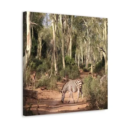 GADGETS WRAP Canvas Gallery Wrap Framed for Home Office Studio Living Room Decoration (10x10inch) - Zebra In Forest