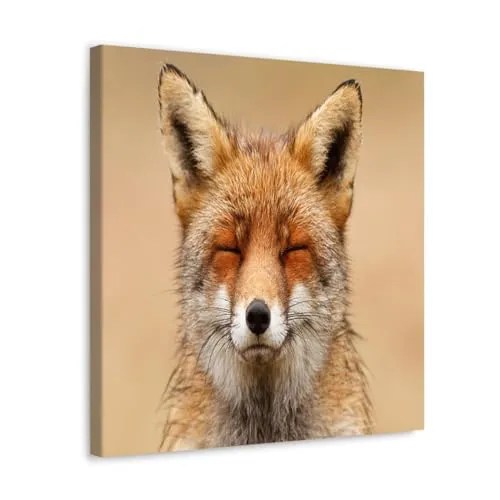 GADGETS WRAP Canvas Gallery Wrap Framed for Home Office Studio Living Room Decoration (10x10inch) - Zen Fox Red Fox