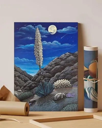 GADGETS WRAP Canvas Gallery Wrap Framed for Home Office Studio Living Room Decoration (11x14inch) - Desert Flowers Night View Print