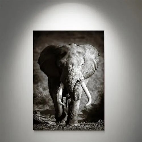 GADGETS WRAP Canvas Gallery Wrap Framed for Home Office Studio Living Room Decoration (11x14inch) - Elephant Bull