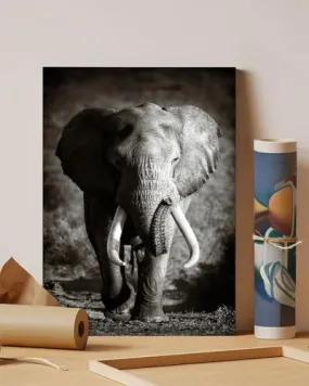 GADGETS WRAP Canvas Gallery Wrap Framed for Home Office Studio Living Room Decoration (11x14inch) - Elephant Bull