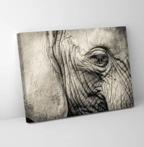 GADGETS WRAP Canvas Gallery Wrap Framed for Home Office Studio Living Room Decoration (11x9inch) - Elephant Eye