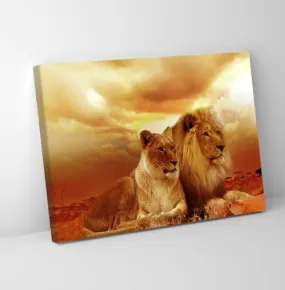 GADGETS WRAP Canvas Gallery Wrap Framed for Home Office Studio Living Room Decoration (11x9inch) - Lion Couple