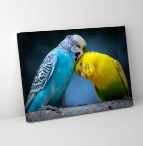 GADGETS WRAP Canvas Gallery Wrap Framed for Home Office Studio Living Room Decoration (11x9inch) - Love Birds Closeup