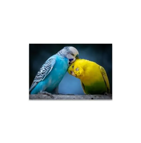 GADGETS WRAP Canvas Gallery Wrap Framed for Home Office Studio Living Room Decoration (11x9inch) - Love Birds Closeup