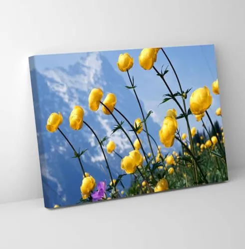 GADGETS WRAP Canvas Gallery Wrap Framed for Home Office Studio Living Room Decoration (11x9inch) - NW353