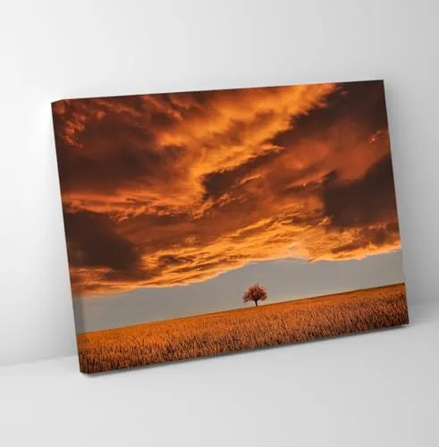 GADGETS WRAP Canvas Gallery Wrap Framed for Home Office Studio Living Room Decoration (11x9inch) - Orange Tree