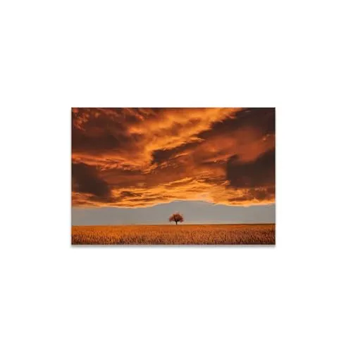 GADGETS WRAP Canvas Gallery Wrap Framed for Home Office Studio Living Room Decoration (11x9inch) - Orange Tree