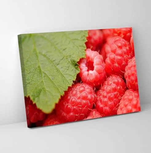 GADGETS WRAP Canvas Gallery Wrap Framed for Home Office Studio Living Room Decoration (11x9inch) - Raspberry