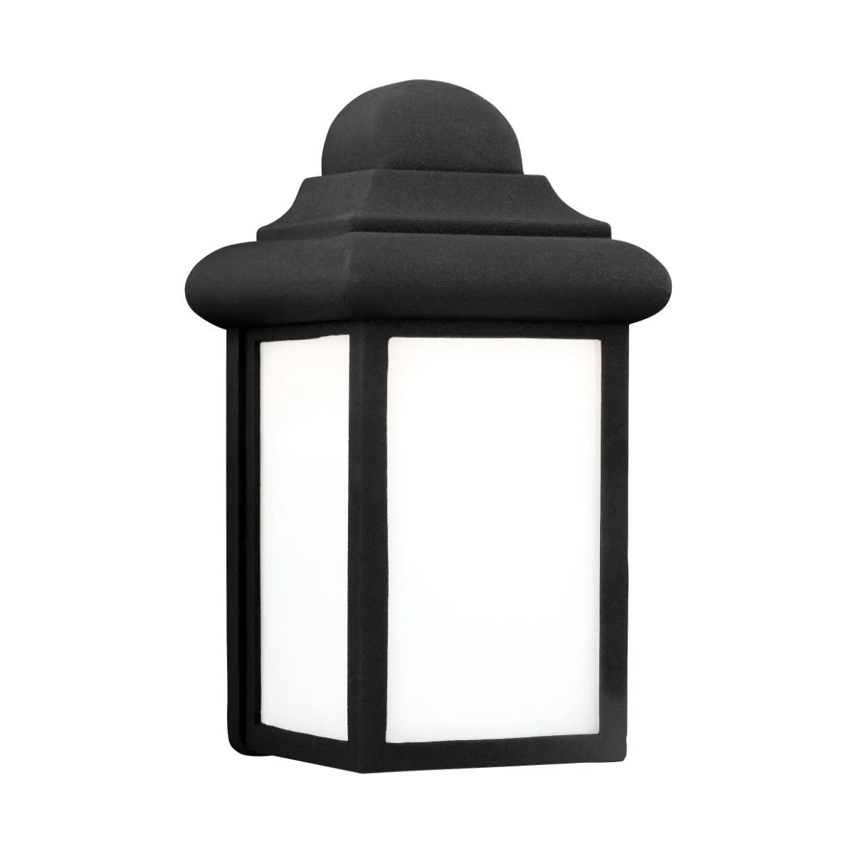 Mullberry Hill 9 In. LED Outdoor Wall Light Black Finish