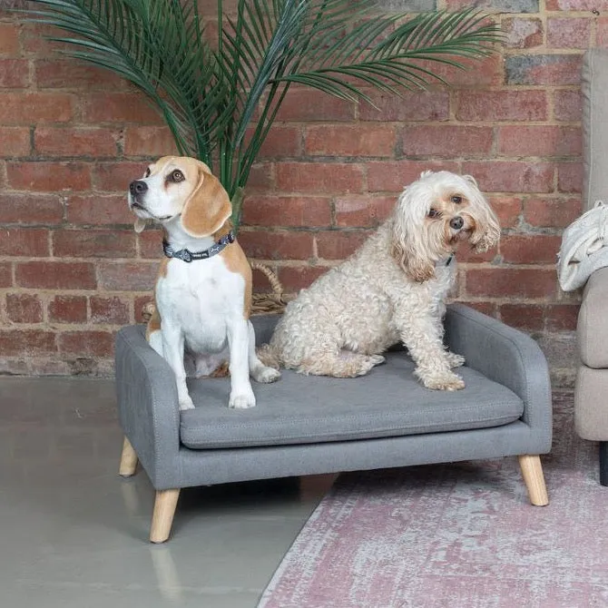 Rectangle Removable Cushion Pet Lounge