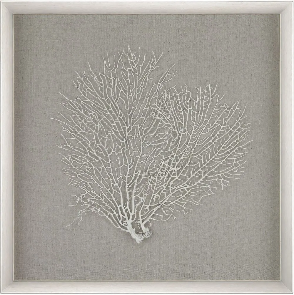 Sea Fan Wall Décor