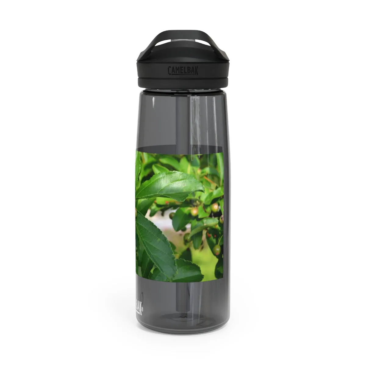 Seeds and Green Leaves CamelBak Eddy®  Water Bottle, 20oz / 25oz