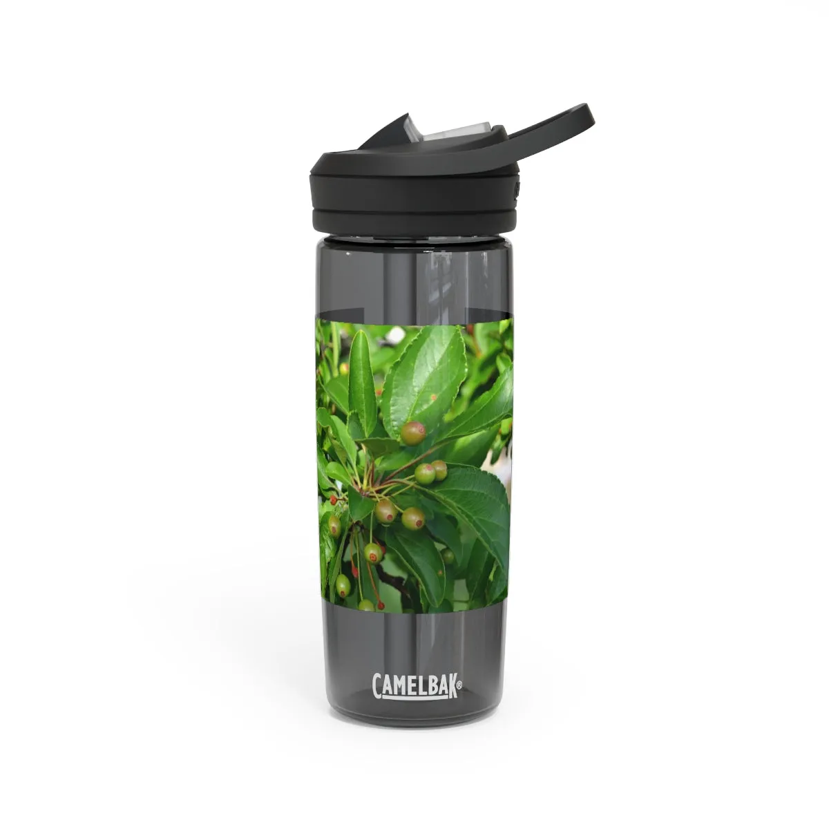 Seeds and Green Leaves CamelBak Eddy®  Water Bottle, 20oz / 25oz