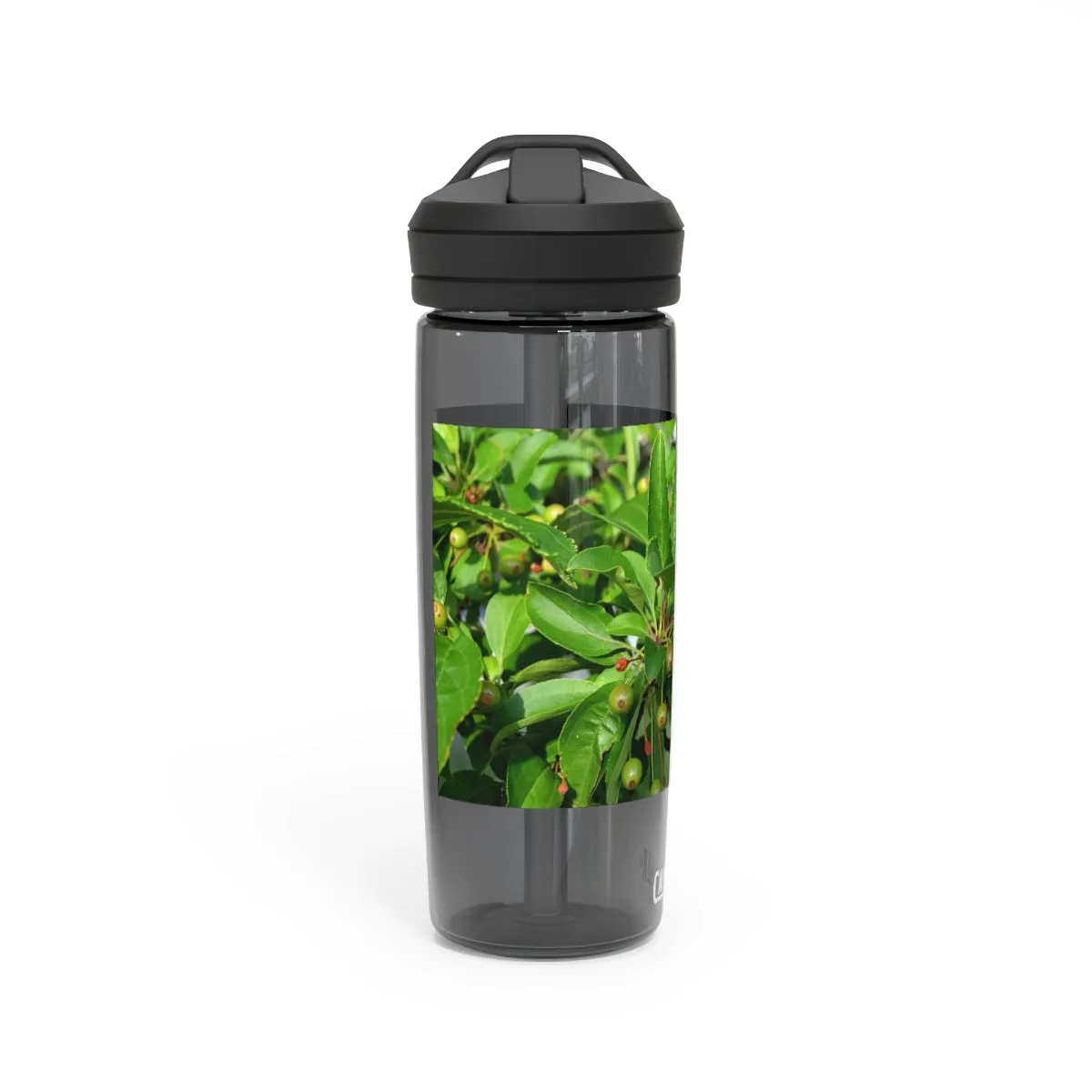 Seeds and Green Leaves CamelBak Eddy®  Water Bottle, 20oz / 25oz