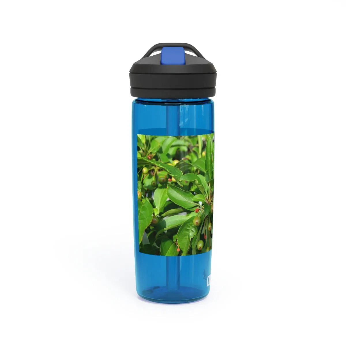 Seeds and Green Leaves CamelBak Eddy®  Water Bottle, 20oz / 25oz