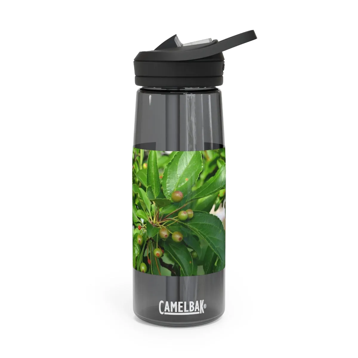 Seeds and Green Leaves CamelBak Eddy®  Water Bottle, 20oz / 25oz