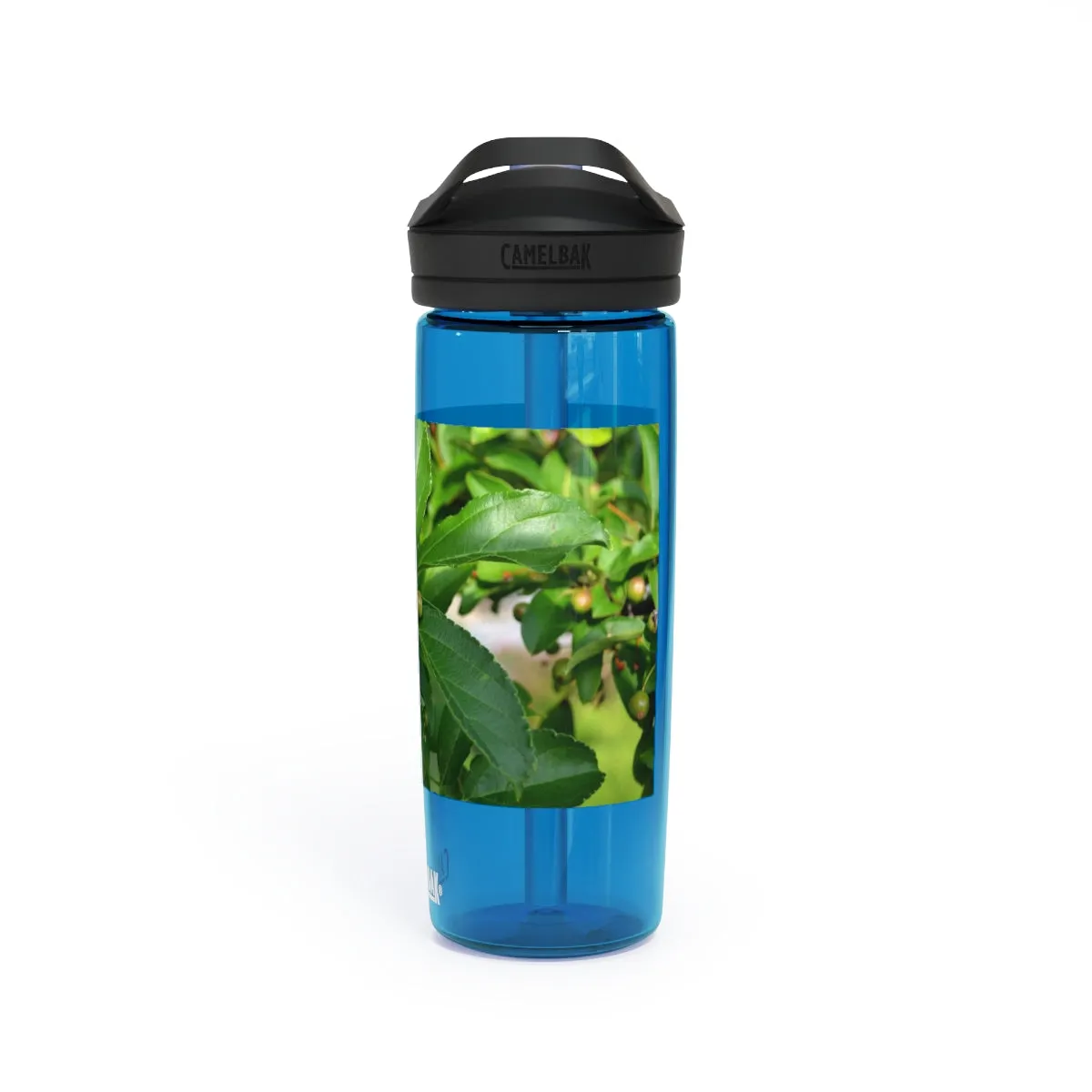 Seeds and Green Leaves CamelBak Eddy®  Water Bottle, 20oz / 25oz