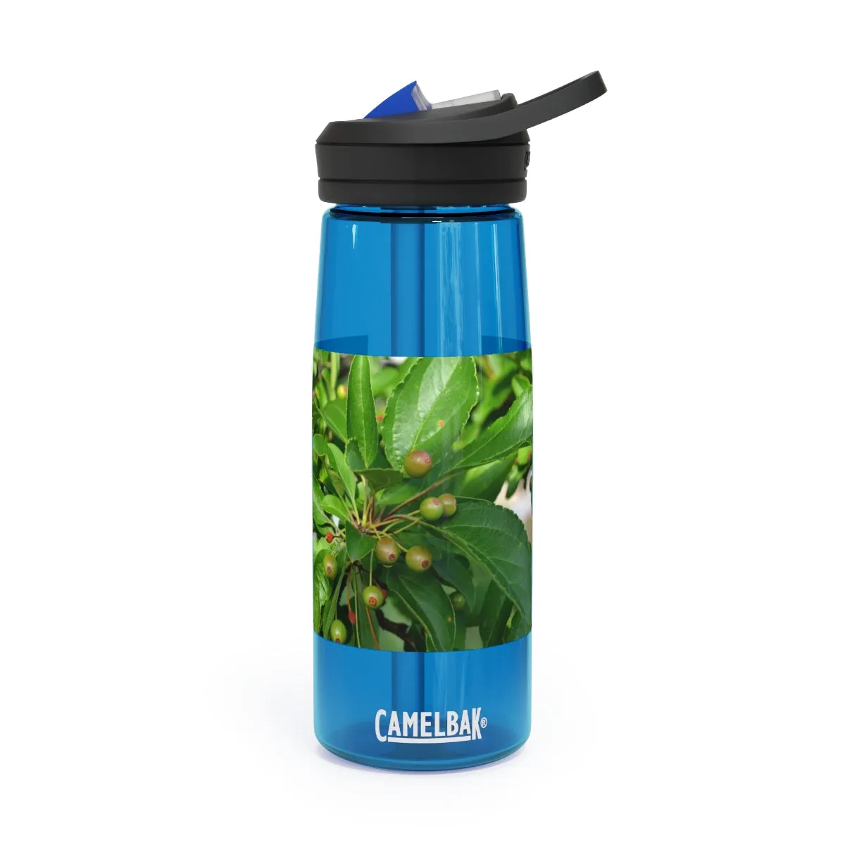 Seeds and Green Leaves CamelBak Eddy®  Water Bottle, 20oz / 25oz