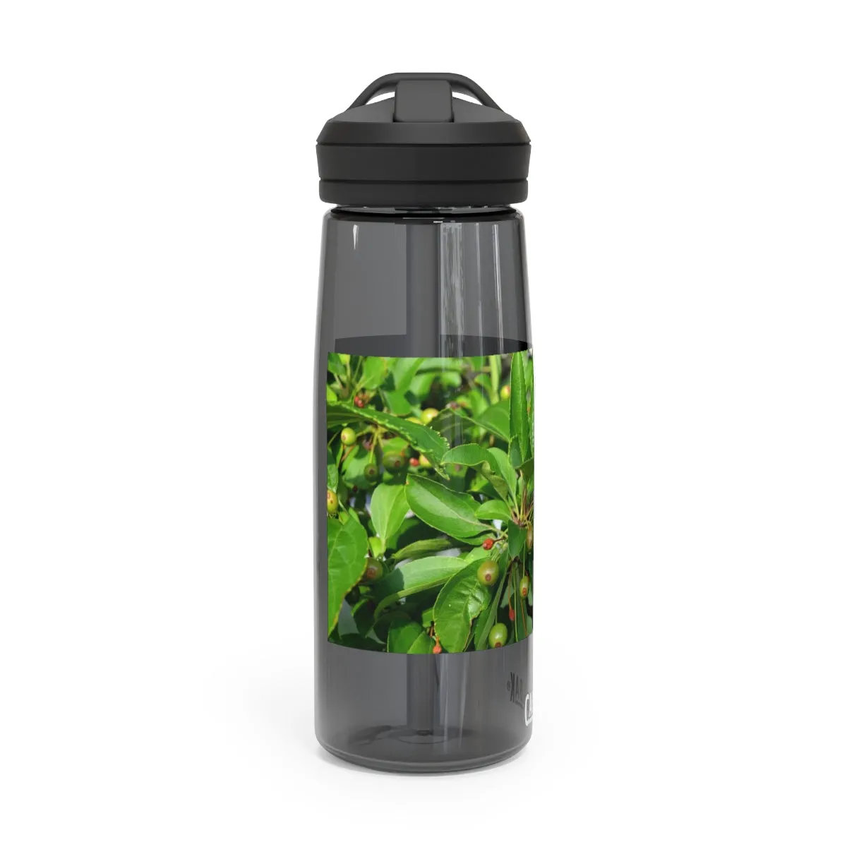 Seeds and Green Leaves CamelBak Eddy®  Water Bottle, 20oz / 25oz