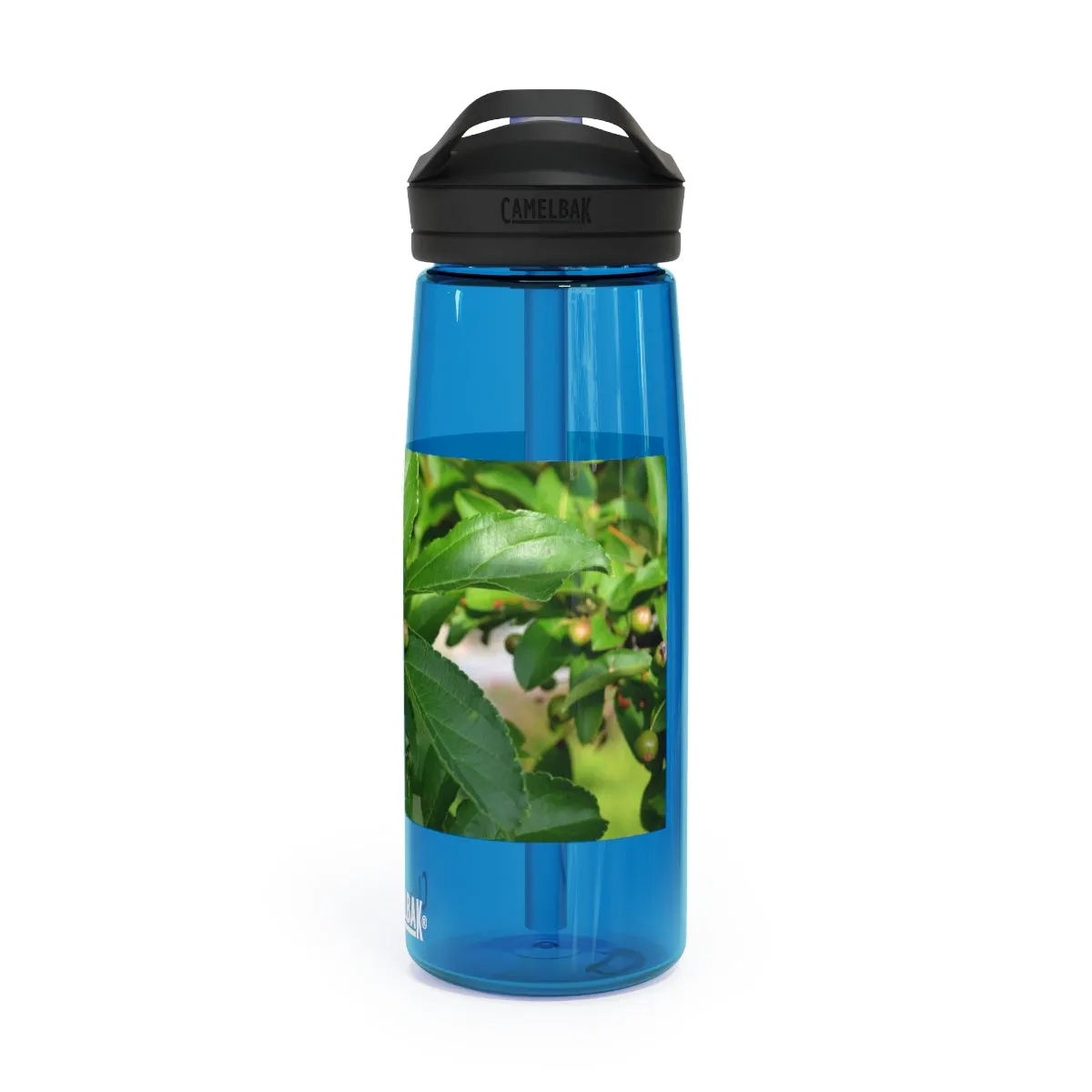 Seeds and Green Leaves CamelBak Eddy®  Water Bottle, 20oz / 25oz